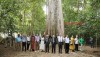 Lễ công nhận quần thể 162 cây di sản Việt Nam tại tỉnh Bình Phước
