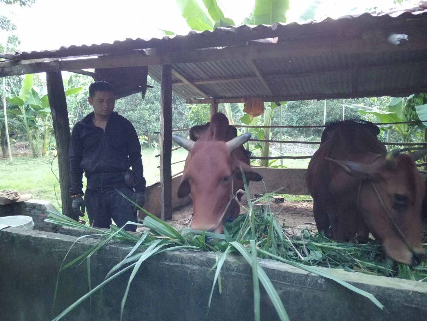 GƯƠNG ĐIỂN HÌNH TRONG LAO ĐỘNG SẢN XUẤT, HỌC TẬP VÀ LÀM THEO TƯ TƯỞNG, ĐẠO ĐỨC, PHONG CÁCH HỒ CHÍ MINH