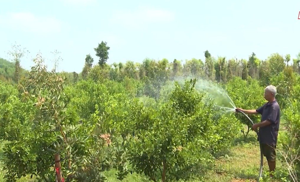 Triển khai cho vay tín dụng cấp nước sạch và vệ sinh môi trường